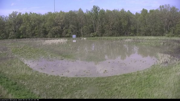 Cell 4_24-05-03_17-01-55-32