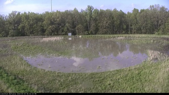 Cell 4_24-05-03_18-42-24-31