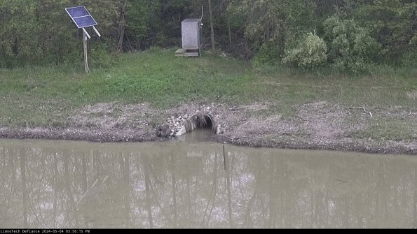 Basin Inflow_24-05-04_15-56-15-51