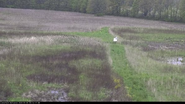 Cell 1 to 2_24-05-04_09-12-18-34