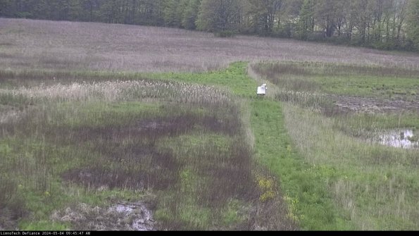 Cell 1 to 2_24-05-04_09-45-48-33