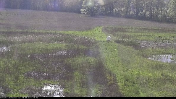 Cell 1 to 2_24-05-04_18-08-11-33