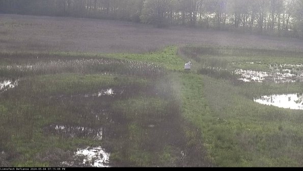 Cell 1 to 2_24-05-04_19-15-10-34