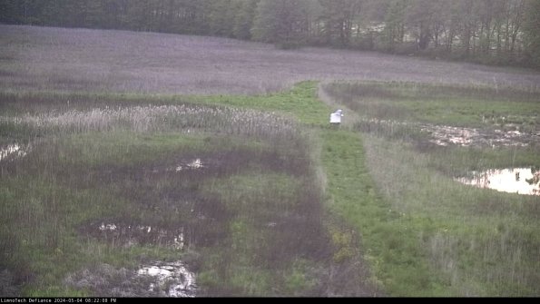 Cell 1 to 2_24-05-04_20-22-09-31