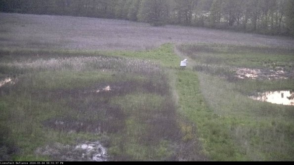 Cell 1 to 2_24-05-04_20-55-38-33