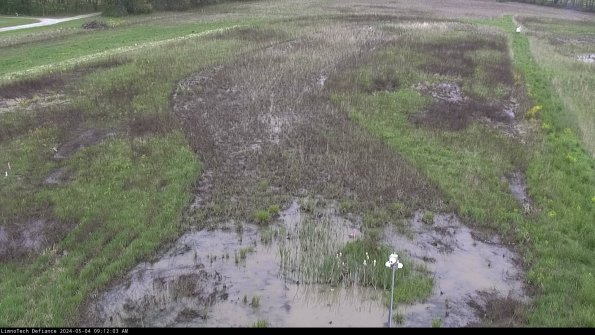 Cell 1_24-05-04_09-12-04-32