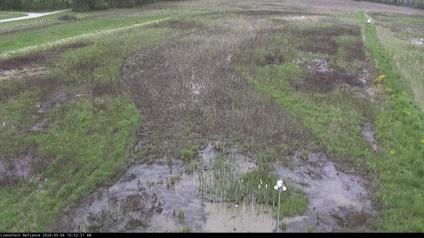 Cell 1_24-05-04_10-52-32-31