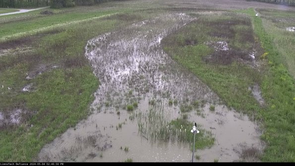 Cell 1_24-05-04_14-46-57-33