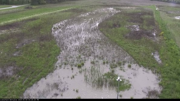 Cell 1_24-05-04_15-20-26-31