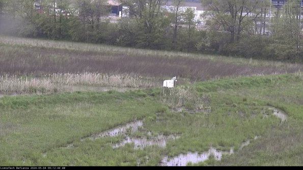 Cell 2 to 3_24-05-04_09-12-44-43