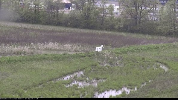 Cell 2 to 3_24-05-04_10-19-43-50