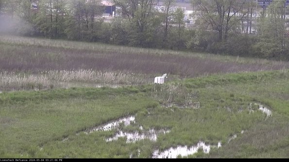 Cell 2 to 3_24-05-04_15-21-06-49