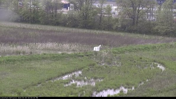 Cell 2 to 3_24-05-04_15-54-36-41