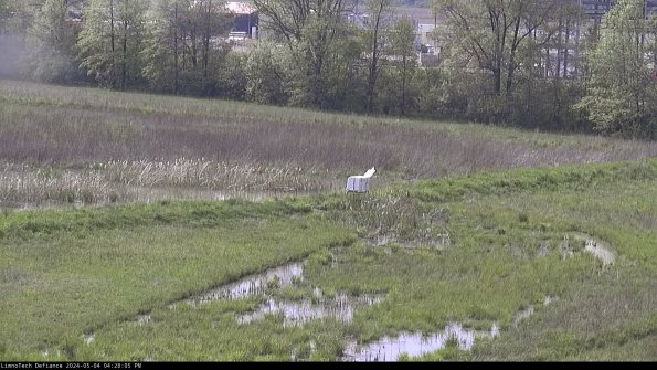 Cell 2 to 3_24-05-04_16-28-05-56