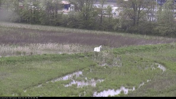 Cell 2 to 3_24-05-04_17-35-06-47