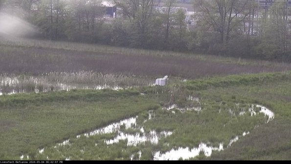 Cell 2 to 3_24-05-04_18-42-07-44