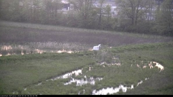 Cell 2 to 3_24-05-04_20-56-04-46