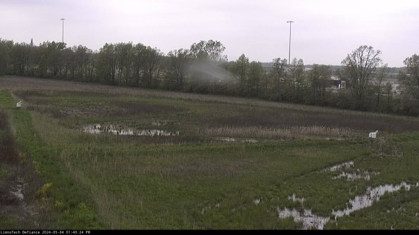 Cell 2_24-05-04_13-40-25-35