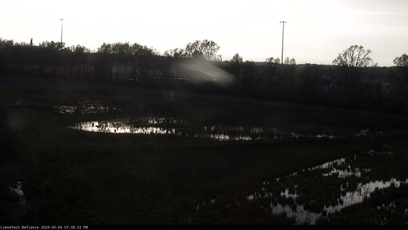 Cell 2_24-05-04_19-48-53-37