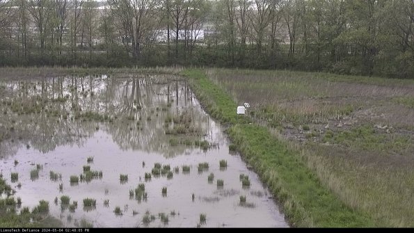 Cell 3 to 4_24-05-04_14-48-06-33