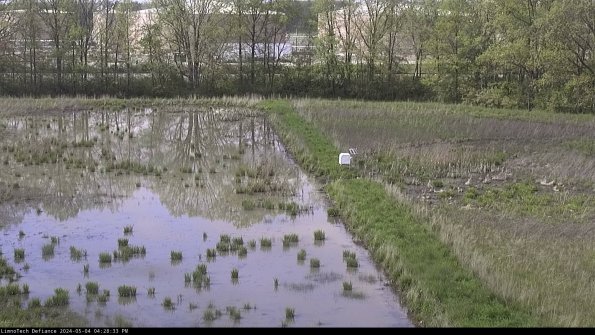 Cell 3 to 4_24-05-04_16-28-34-33