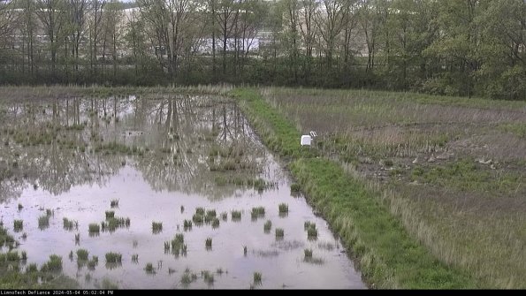 Cell 3 to 4_24-05-04_17-02-05-32