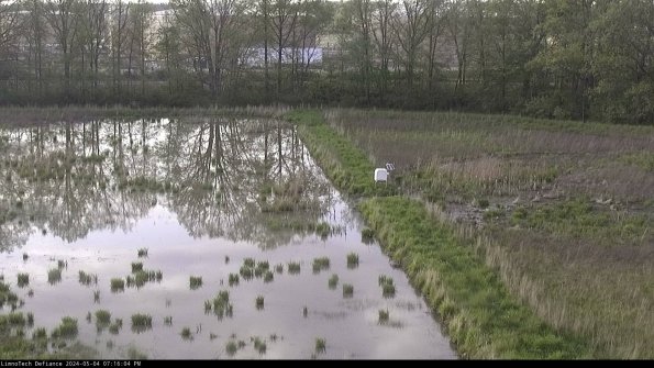 Cell 3 to 4_24-05-04_19-16-05-33