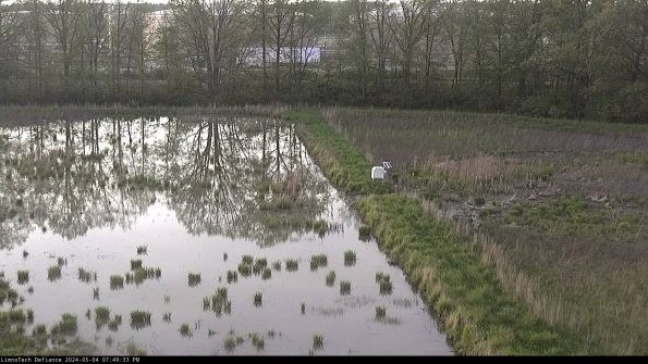 Cell 3 to 4_24-05-04_19-49-34-32