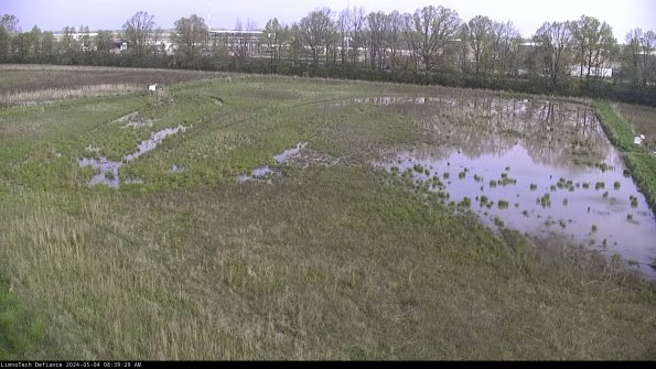 Cell 3_24-05-04_08-39-29-59