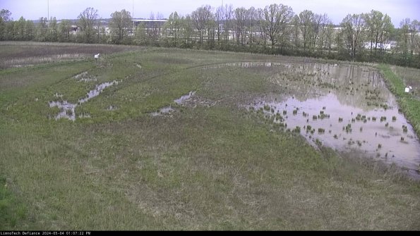 Cell 3_24-05-04_13-07-23-32