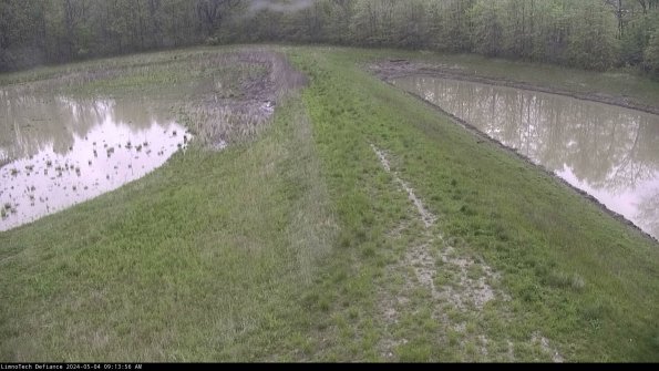 Cell 4 to Basin_24-05-04_09-13-57-34