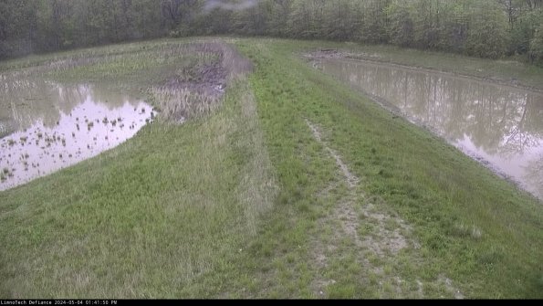 Cell 4 to Basin_24-05-04_13-41-51-33