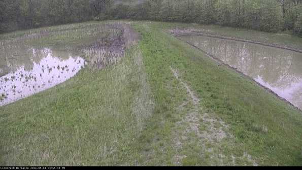 Cell 4 to Basin_24-05-04_15-55-49-35