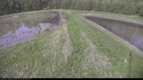 Cell 4 to Basin_24-05-04_18-09-50-33