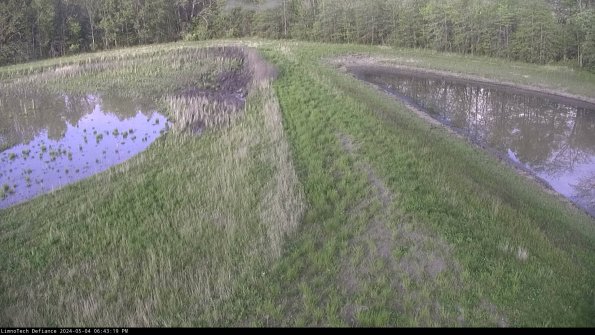 Cell 4 to Basin_24-05-04_18-43-20-32