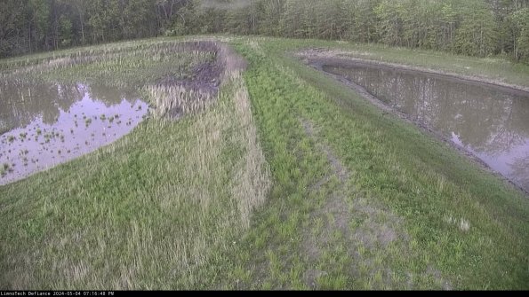 Cell 4 to Basin_24-05-04_19-16-49-34