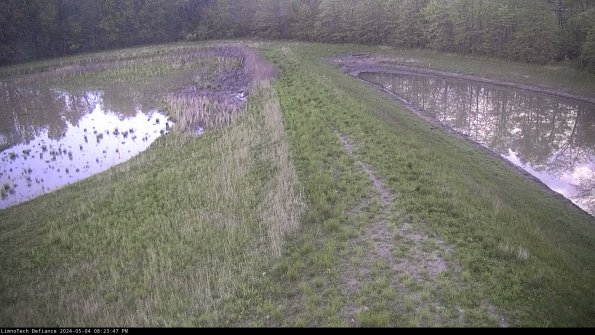 Cell 4 to Basin_24-05-04_20-23-48-35