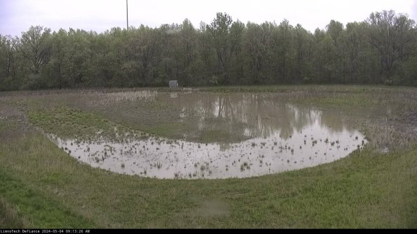 Cell 4_24-05-04_09-13-27-34