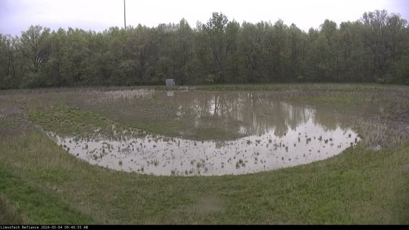 Cell 4_24-05-04_09-46-56-33