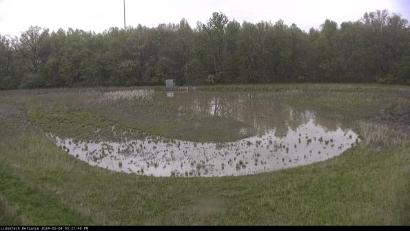 Cell 4_24-05-04_15-21-49-33