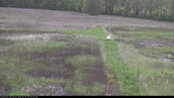 Cell 1 to 2_24-05-06_08-39-27-34