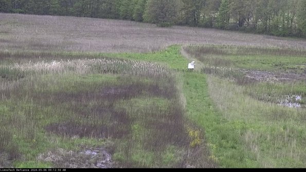 Cell 1 to 2_24-05-06_09-12-57-35