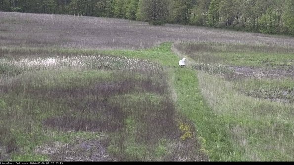 Cell 1 to 2_24-05-06_13-07-24-33