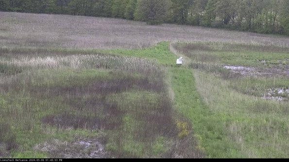 Cell 1 to 2_24-05-06_13-40-54-32