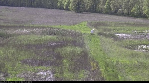 Cell 1 to 2_24-05-06_16-28-21-33