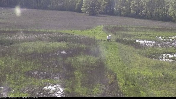 Cell 1 to 2_24-05-06_17-35-20-35