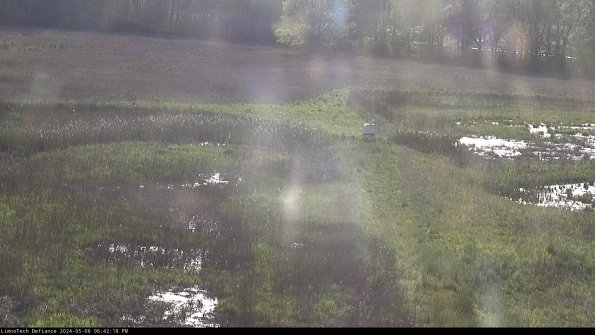 Cell 1 to 2_24-05-06_18-42-19-32