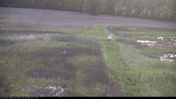 Cell 1 to 2_24-05-06_20-22-48-32