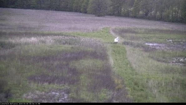 Cell 1 to 2_24-05-06_20-56-18-34