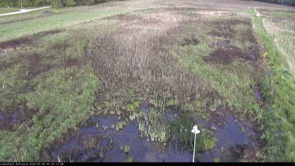 Cell 1_24-05-06_07-32-13-32